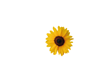 Ferienwohnungen Kornau Oberstdorf Allgäu Logo